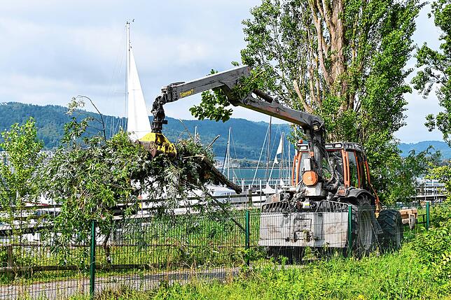 Bild 27: Bilder von den Einsätzen und massiven Schäden nach dem Unwetter in Bodman-Ludwigshafen