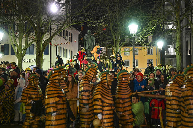 Bild 22: Alle Bilder zur Fastnachtsverbrennung in Radolfzell
