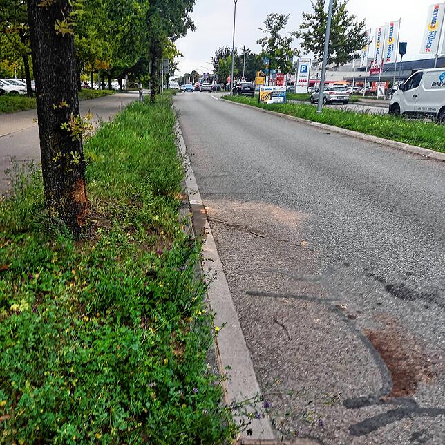 Plastikteile des Fiats liegen noch in der Wiese rund um den Baum. Auf der Straße wurden Betriebsstoffe, die nach dem Zusammenprall aus ...