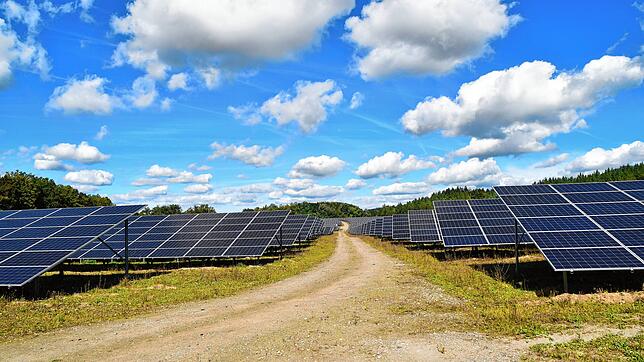 Zwischen Radolfzell und Steißlingen gibt es schon eine Freiflächenphotovoltaikanlage.