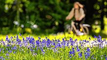 Menschen im Südwesten können sich auch in den nächsten Tagen auf warmes und sonniges Frühlingswetter einstellen. (Symbolbild)