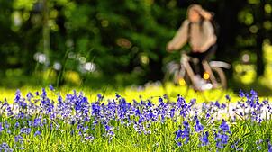 Menschen im Südwesten können sich auch in den nächsten Tagen auf warmes und sonniges Frühlingswetter einstellen. (Symbolbild)