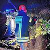 Einsatzkräfte der Feuerwehr Jestetten beseitigen auf der Kreisstraße nahe der Zollbrücke umgestürzte Bäume.