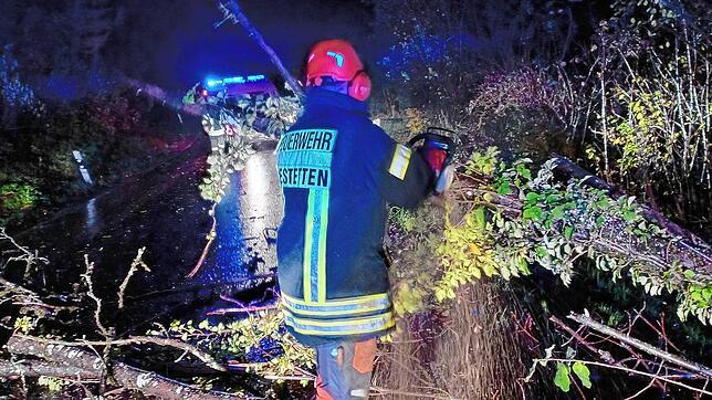 Einsatzkräfte der Feuerwehr Jestetten beseitigen auf der Kreisstraße nahe der Zollbrücke umgestürzte Bäume.