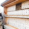 Stephanie Megerle vom Winzerverein beobachtet Wildbienen an einem Insektenhotel in den Rebanlagen.