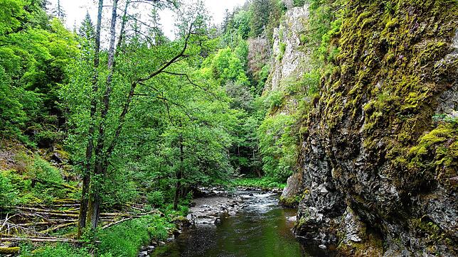 Die Wutach beeindruckt an vielen Stellen mit wildromantischen Szenen, so auch unterhalb des Räuberschlössles.