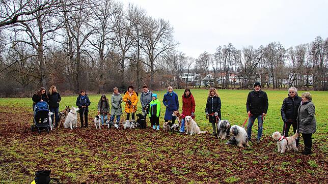 All diese Hundebesitzer wollen ihre Vierbeiner wieder frei laufen lassen am Warenberg, zumindest in bestimmten Bereichen und wünschen ...