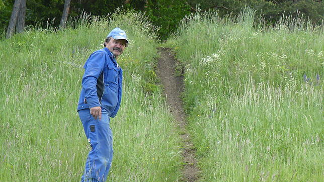 Hier haben Mountainbiker eine tiefe Fahrspur in der Wiese von Landwirt Norbert Kohler hinterlassen, ohne Rücksicht darauf, dass ...