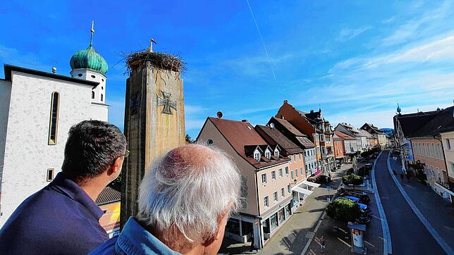 Johannes Zehnle von der Stockacher Feuerwehr (links) und Christian Mende fahren im Drehleiterkorb zum Stockacher Storchennest.