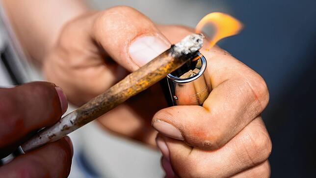 Ab dem 1. April 2024 dürfen Erwachsene Cannabis in bestimmten Mengen konsumieren. Das Symbolbild entstand bereits 2022 auf der ...