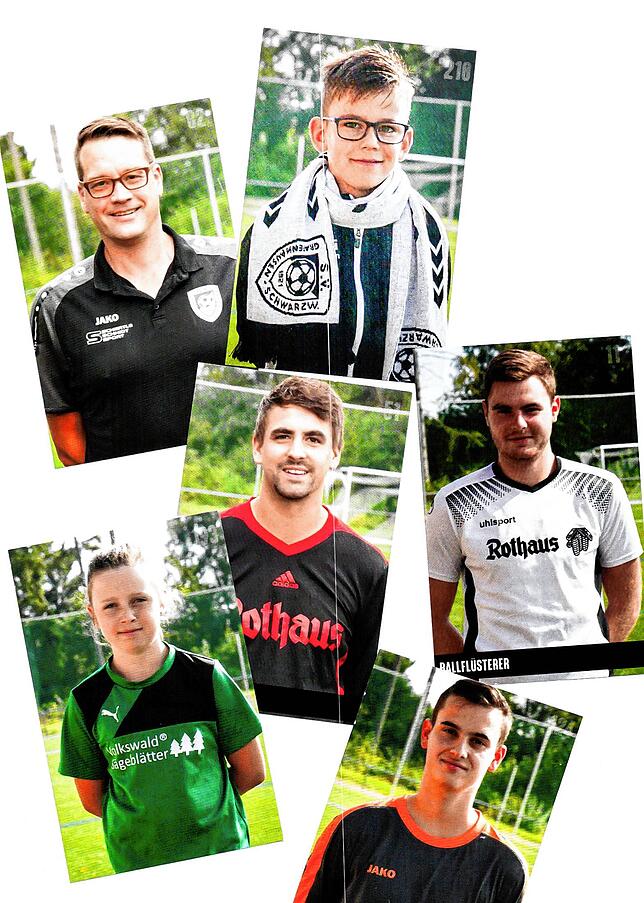 Solche Bilder müssen in passende Felder geklebt werden.