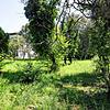 Der Garten am Krankenhaus Radolfzell sollte eigentlich erhalten bleiben, da aber nur sehr wenige Menschen spendeten, reicht es gerade ...