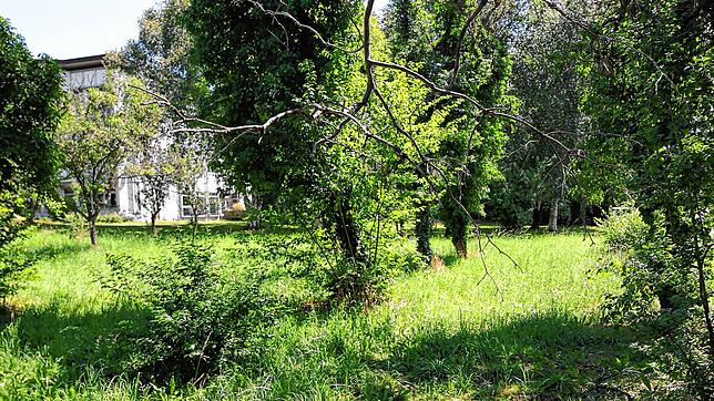 Der Garten am Krankenhaus Radolfzell sollte eigentlich erhalten bleiben, da aber nur sehr wenige Menschen spendeten, reicht es gerade ...