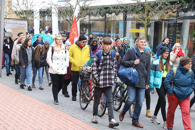 Bild 11: Fridays-for-Future geht in die nächste Runde: Bilder und Videos von der Demonstration in Radolfzell