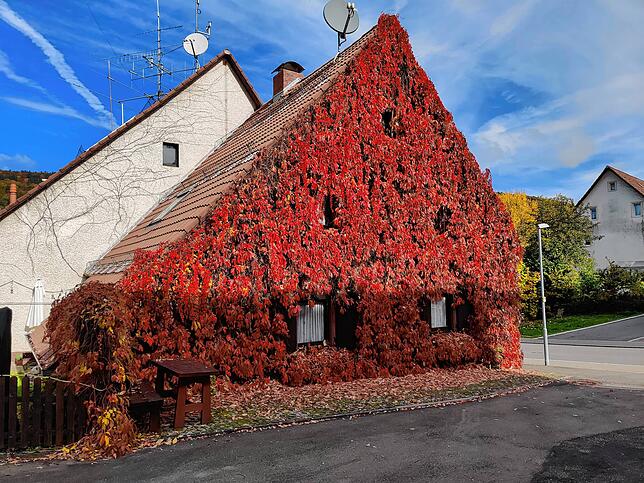 Bild 13: So schön ist der Herbst im Schwarzwald und auf der Baar
