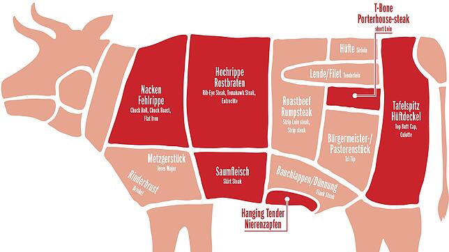 Auf der Rinder-Landkarte sind die interessantesten Cuts für die Zubereitung auf dem Grill abgebildet. Darunter sind auch Stücke, die in ...