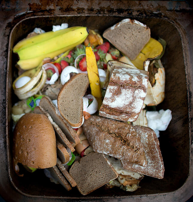 Alles andere als appetitlich: Vom Landkreis gibt es zwar Tipps zur richtigen Befüllung und Reinigung der Biotonnen. Diese ändern nach ...