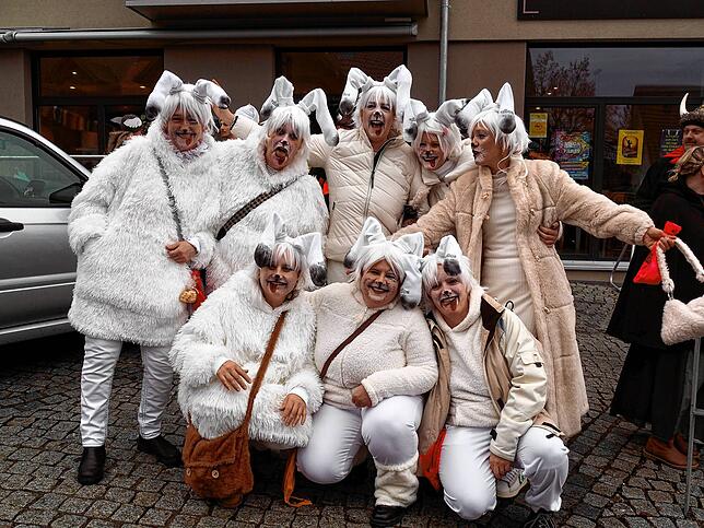 Eine Gruppe Idefixe hat offenbar viel Spaß.