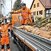 Auslieferung frei Haus: Sascha Thorßten (links) und Claudius Streibert von den Technischen Betrieben Radolfzell bei der Auslieferung der ...