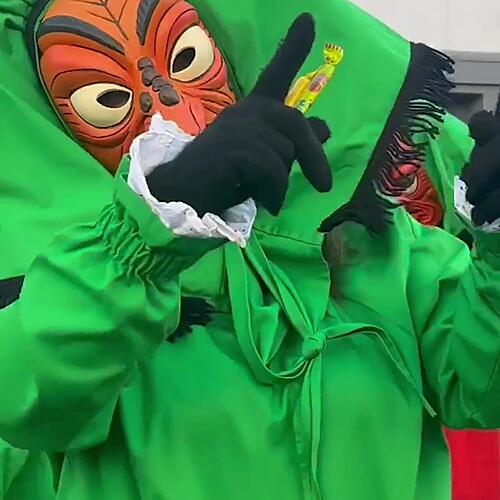 Das war die Fasnacht 2025 in Südbaden