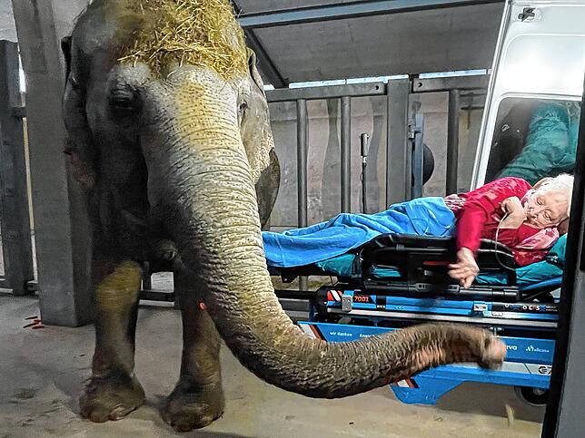 Katharina Abrach bei ihrer Wunscherfüllung in Knies Kinderzoo.