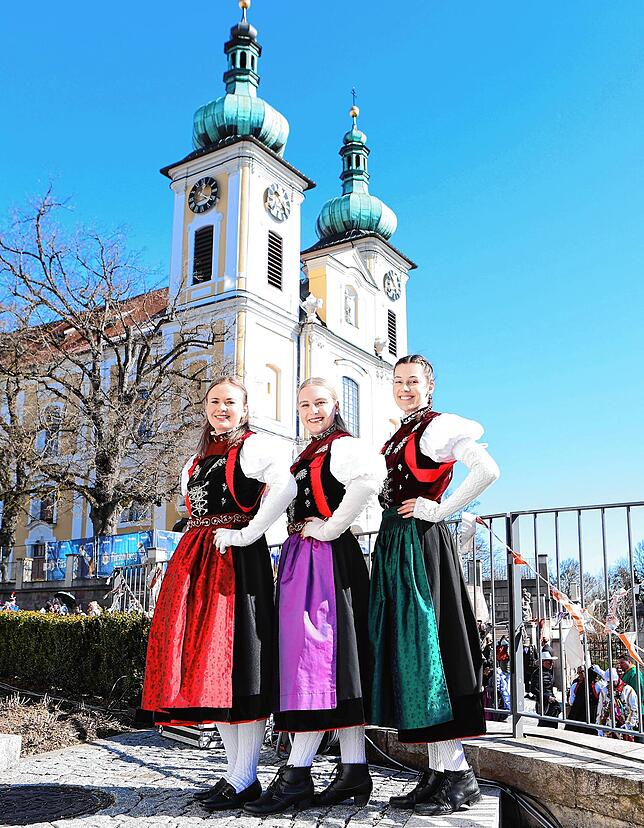 Bild 8: &bdquo;Narrendag&ldquo; in Donaueschingen