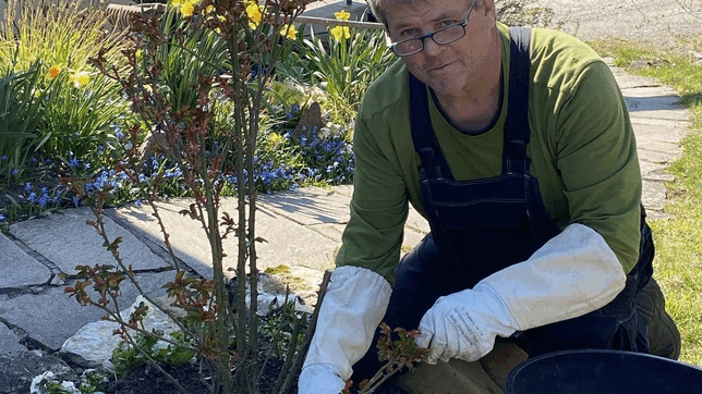 Gartenexperte Edgar Koller weiß, was gegen lästigen Giersch im Garten hilft.