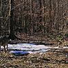 Ende Februar tappte in Erlinsbach im Schweizer Kanton Aargau ein Wolf in eine Fotofalle. Anfang Juni würde möglicherweise ein Wolf bei ...