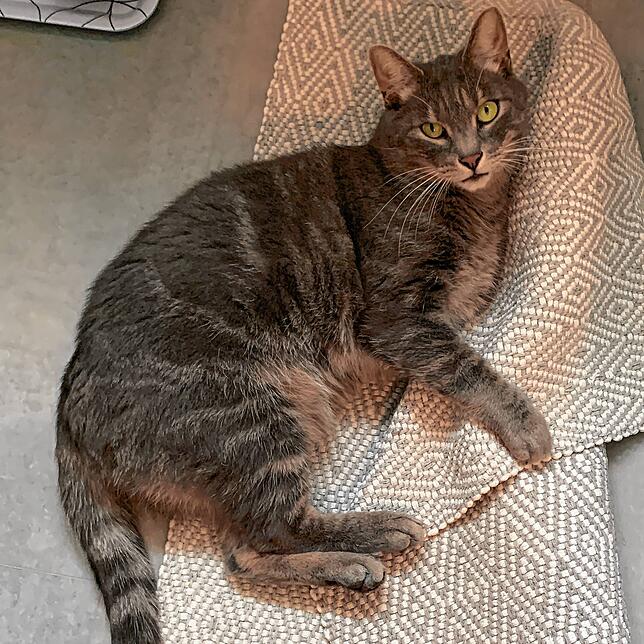Kater Lenny.