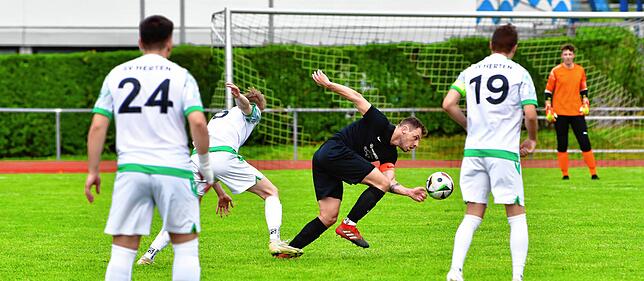 Bild 6: SG FC Wehr/Brennet besiegt den SV Herten mit 5:1 &ndash; und wir haben Bilder!