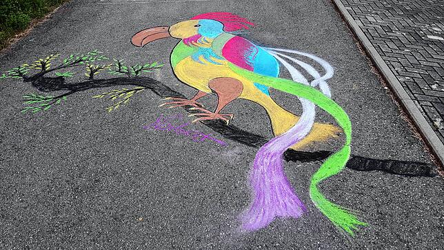 Mit Fantasie: Viele kräftige Farben zieren das Kreide-Bild von Norbert (60), der einen prächtigen Vogel auf die Straße gezaubert hat.