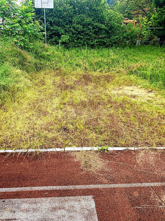 Der Zustand des Sportplatzes am Rande des Gewerbegebietes von Sipplingen, den die Grundschule als Ausweichstandort nutzen soll, ist in ...