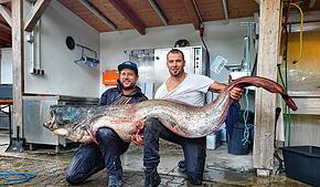 Maurice Karr (links) und Florian Haag vom Angelsportverein Langenargen haben auf dem Bodensee einen Riesen-Wels gefangen.