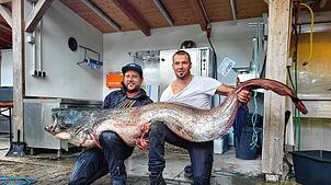 Maurice Karr (links) und Florian Haag vom Angelsportverein Langenargen haben auf dem Bodensee einen Riesen-Wels gefangen.