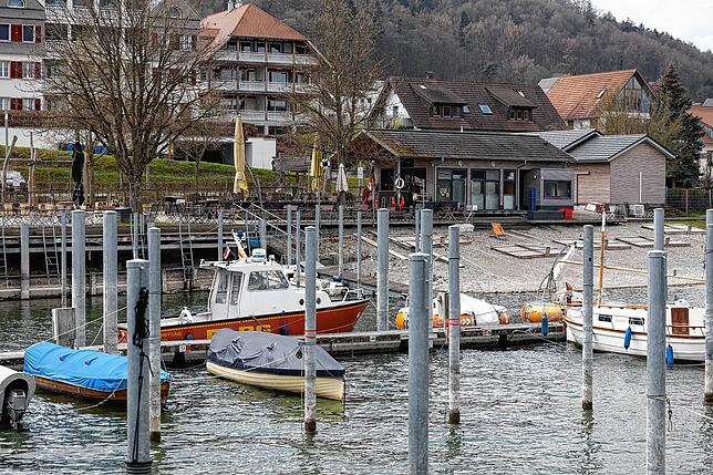Niedrigwasser Bodman 2025 Bild:Gerald Jarausch