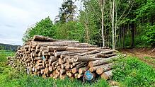 Der Brigachtaler Wald wirft nach wie vor Gewinn ab. Mit fast 19.000 Euro hat man allerdings ein eher durchschnittliches Ergebnis ...