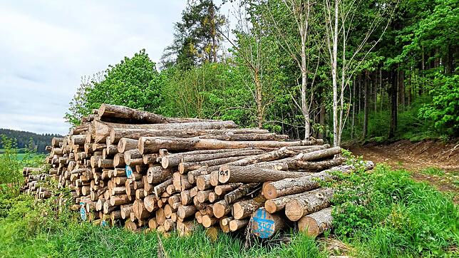 Der Brigachtaler Wald wirft nach wie vor Gewinn ab. Mit fast 19.000 Euro hat man allerdings ein eher durchschnittliches Ergebnis ...