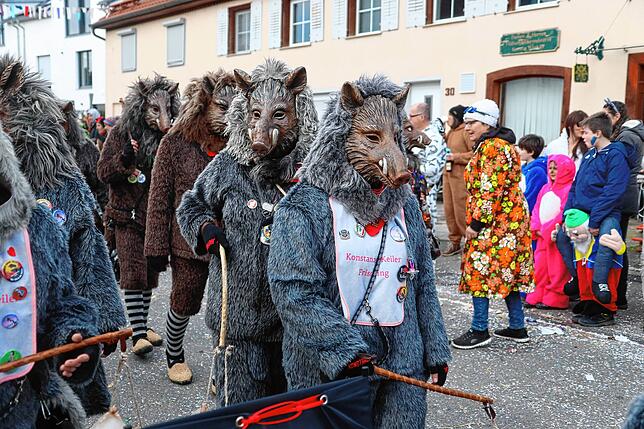 Bild 12: So bunt war der große Umzug beim Seenarrentreffen in Allensbach 2024 &ndash; Teil 3