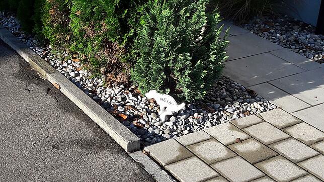Deutliches Nein zum Hundehaufen im Vorgarten: Dieses Schild steht in Wollmatingen.