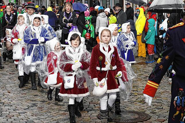 Bild 16: Alle Bilder vom großen Umzug in Villingen am Dienstag (2)