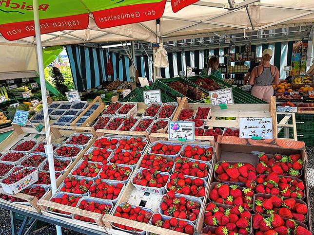 Die Reichenau ist auch als Gemüseinsel bekannt. Vielerorts wird Gemüse und Obst angebaut. Zahlreiche Erzeuger verkaufen ihre Produkt ...