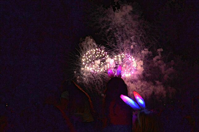 Bild 20: Bilder vom Feuerwerk beim Seehasenfest