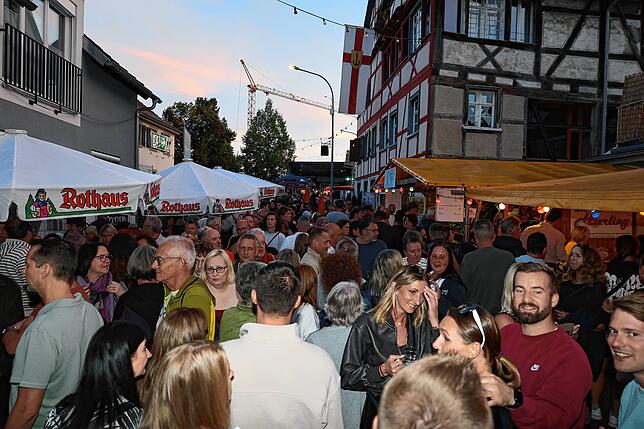 Bild 15: Auch am zweiten Tag des Wollmatinger Dorffests 2025 wird gefeiert