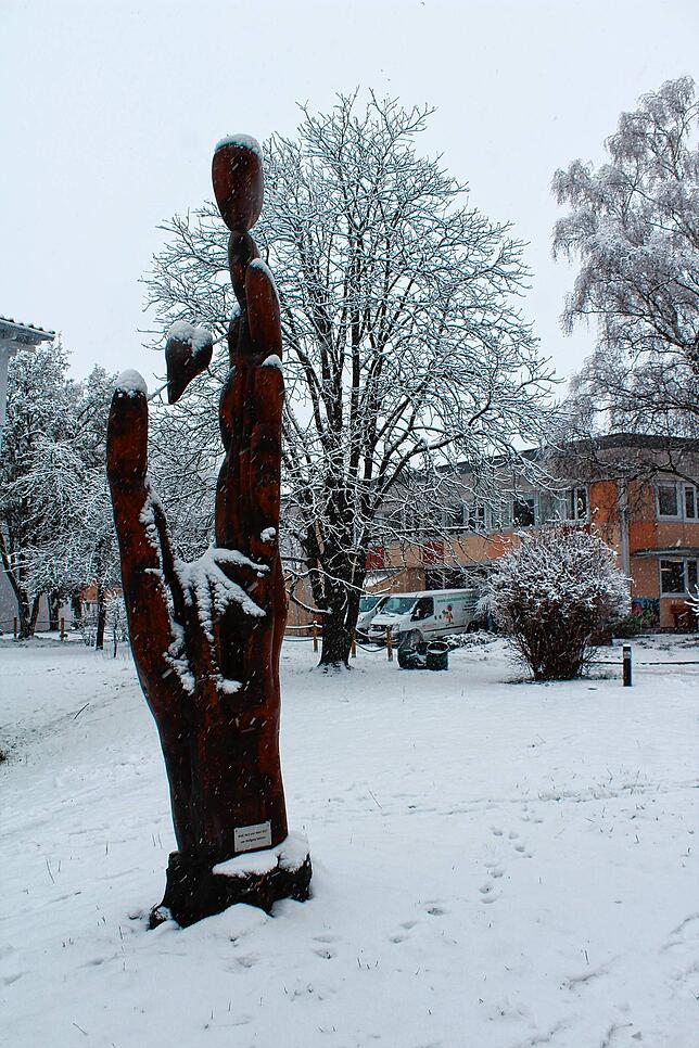 Bild 31: Schnee wohin das Auge reicht! So sieht es gerade im Raum Stockach aus