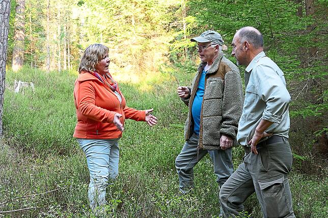 Vor einer Auerhuhn-Freifläche unterhält sich die Landtagsabgeordnete Martina Braun (von links) mit Nabu-Mitglied Bernhard Scherer und ...