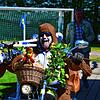 Bild :