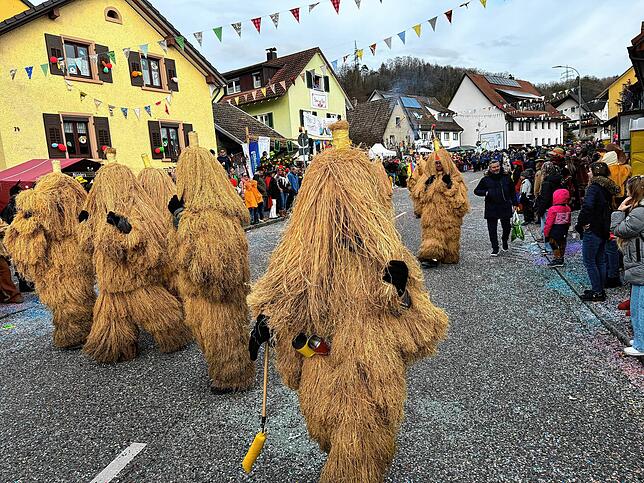 Bild 30: Spaß beim VHN-Narrentreffen: Bilder vom Umzug (1)