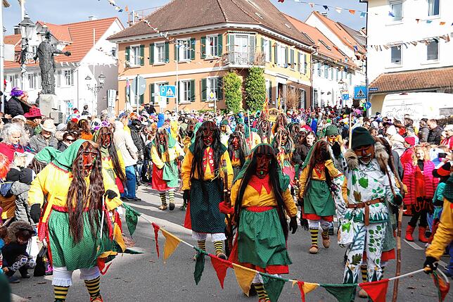 Bild 48: Bilder vom Fasnetssunntig-Umzug in Markdorf (Teil 2)