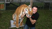Auf Schmusekurs: Raubtiertrainer Alexander Lacey mit seinem Tiger Kashmir. Lacey ist mit seiner gemischten Raubtiernummer &ndash; er ...