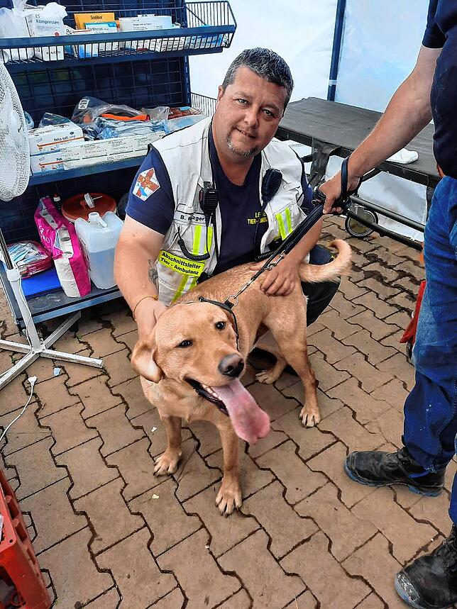 Bernd Metzger mit einem Hund im Einsatz im Kriesengebiet.